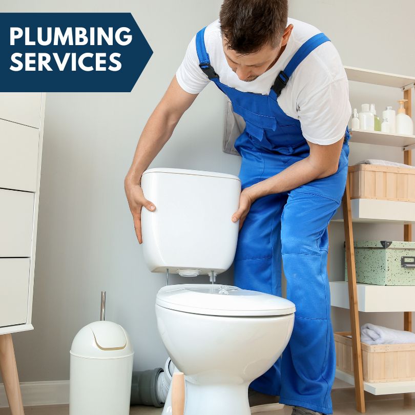 Plumbing Company in Homestead, IA